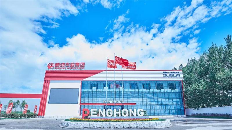 鹏鸿“定制家”升级“梦想家”