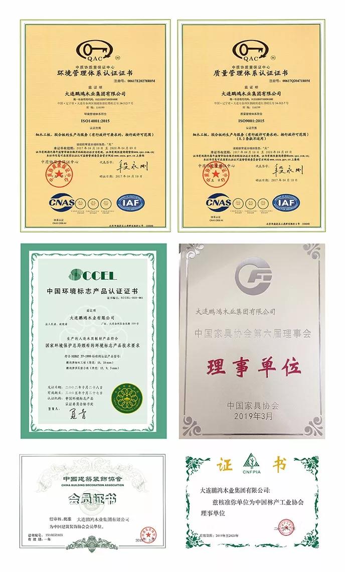 鹏鸿资质荣誉 鹏鸿资质荣誉