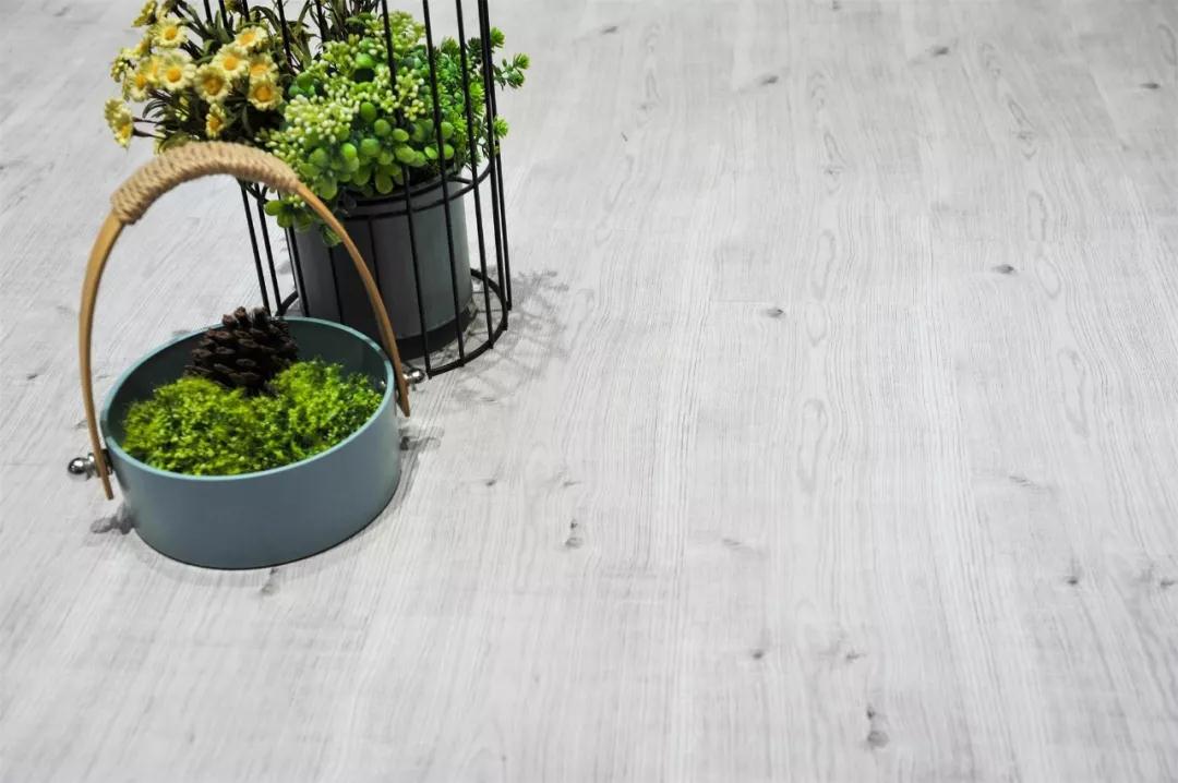 鹏鸿强化地板伊丽莎白系列-5806 鹏鸿强化地板伊丽莎白系列-5806