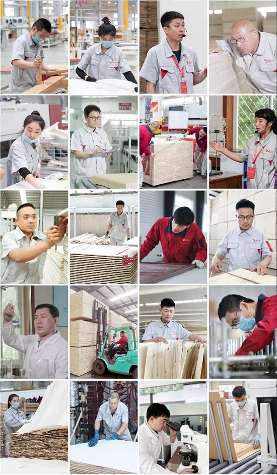 鹏鸿板材 鹏鸿板材