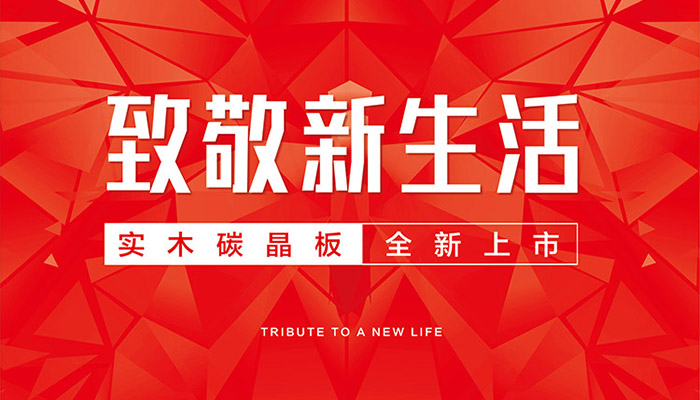 鹏鸿实木碳晶板全新上市